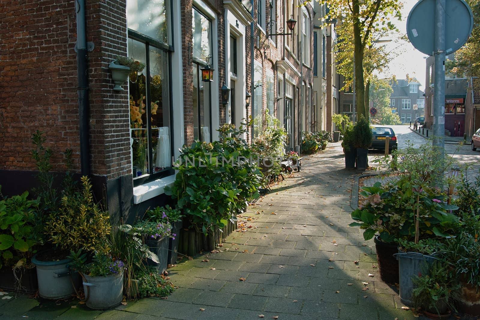 An old street haarlem on an autumn afternoon