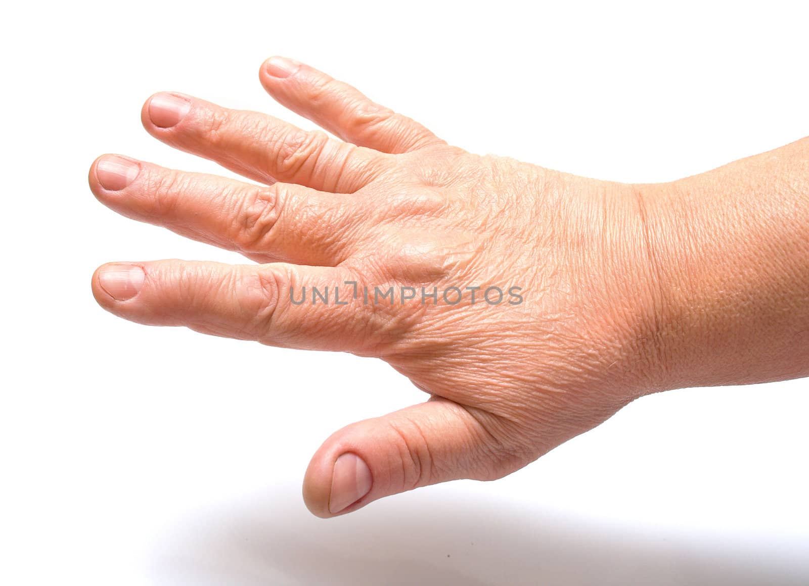 female hand on a white background. Isolation