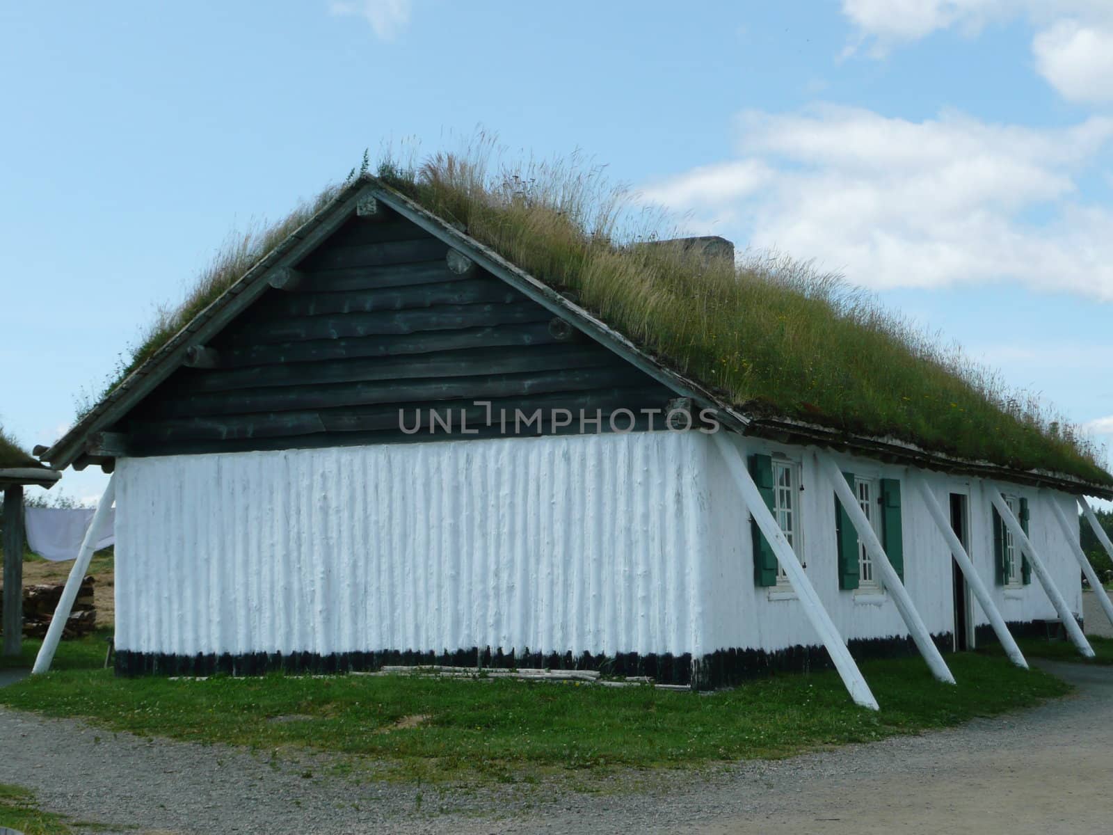 Green roof found on an old house.