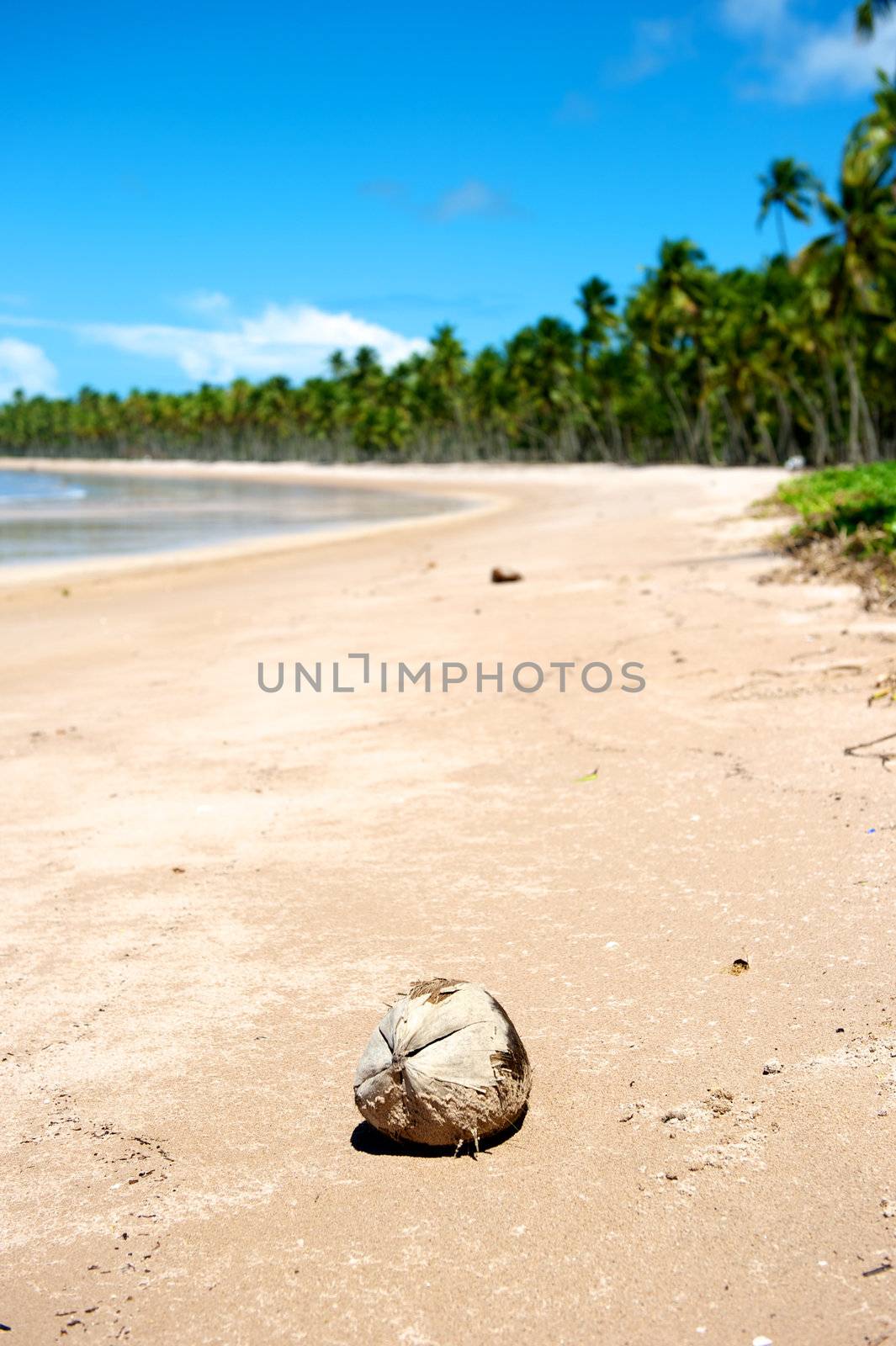 Paradise beach in Ilha do Boipeda, Morro de Sao Paulo, Bahia State, Brazil