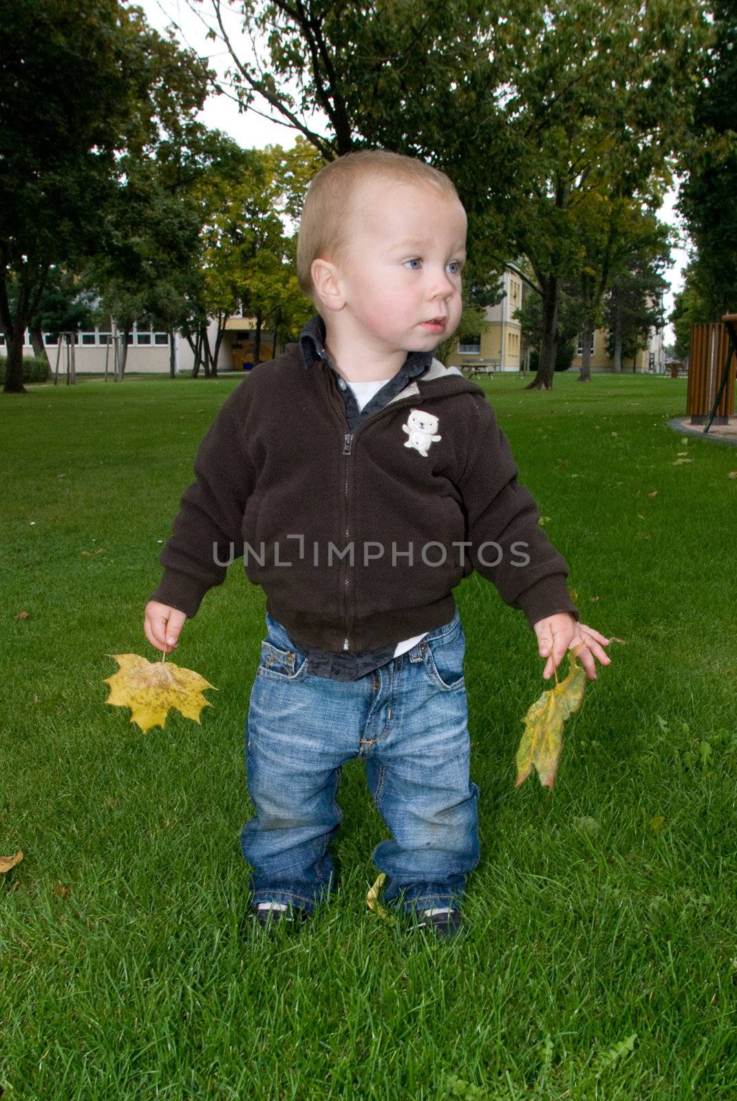 a little boy standing on the lawn with some fallen leaves on his hands