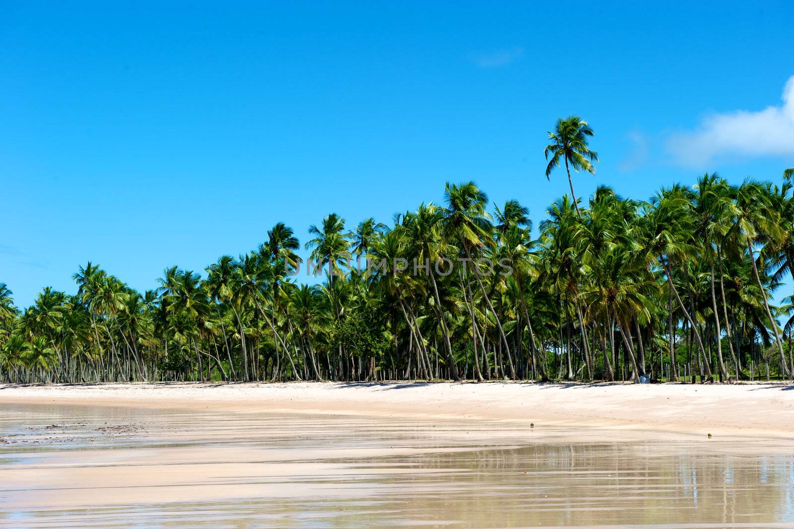 Paradise beach in Ilha do Boipeda, Morro de Sao Paulo, Bahia State, Brazil