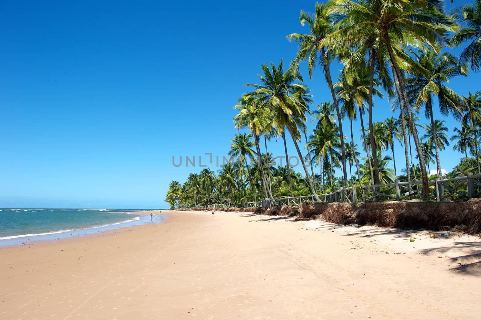 Paradise beach in the Marau Peninsula, Bahia State, Brazil