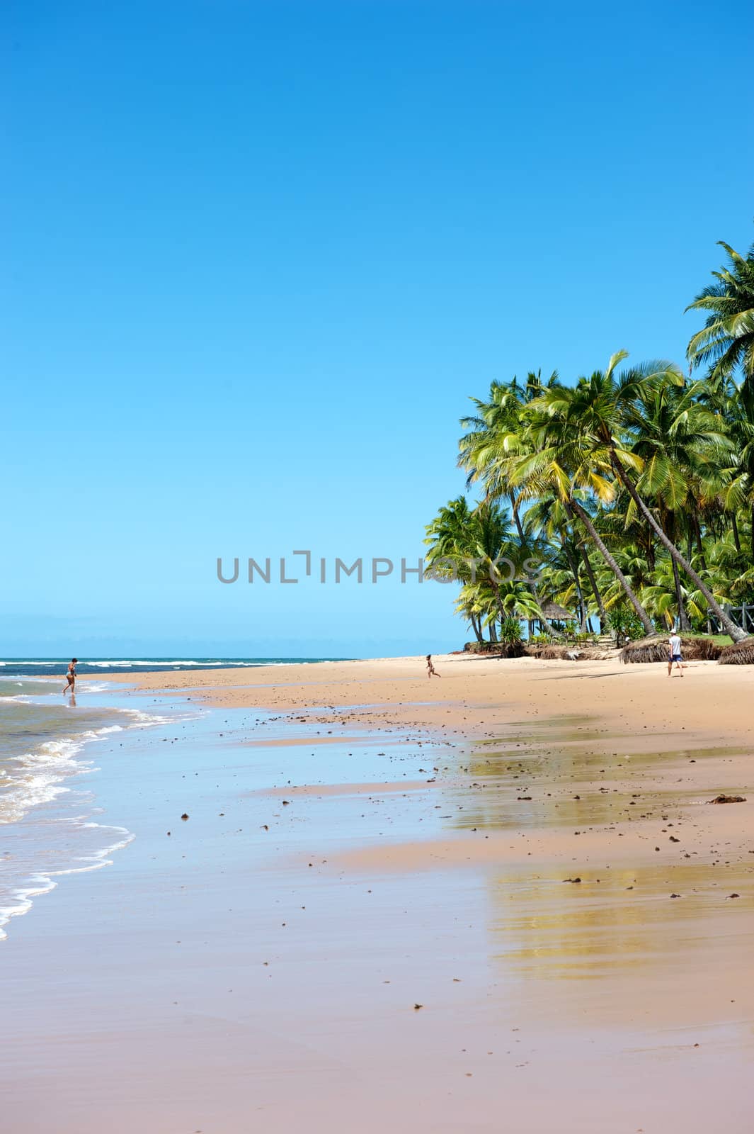 Paradise beach in the Marau Peninsula, Bahia State, Brazil