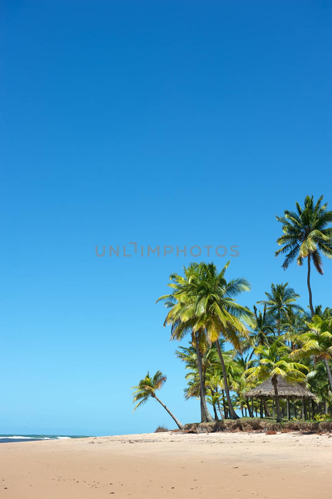 Paradise beach in the Marau Peninsula, Bahia State, Brazil