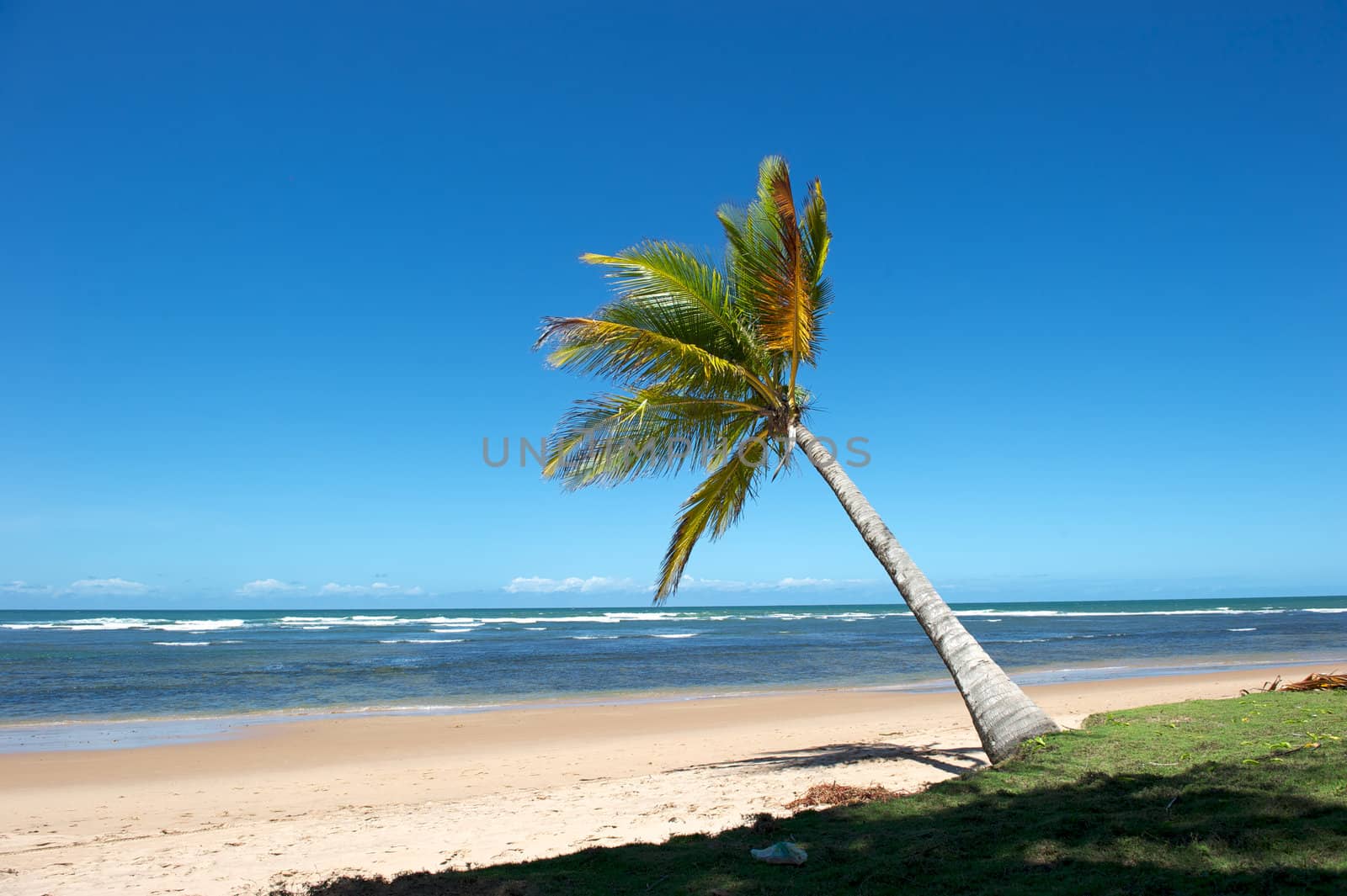 Paradise beach in the Marau Peninsula, Bahia State, Brazil