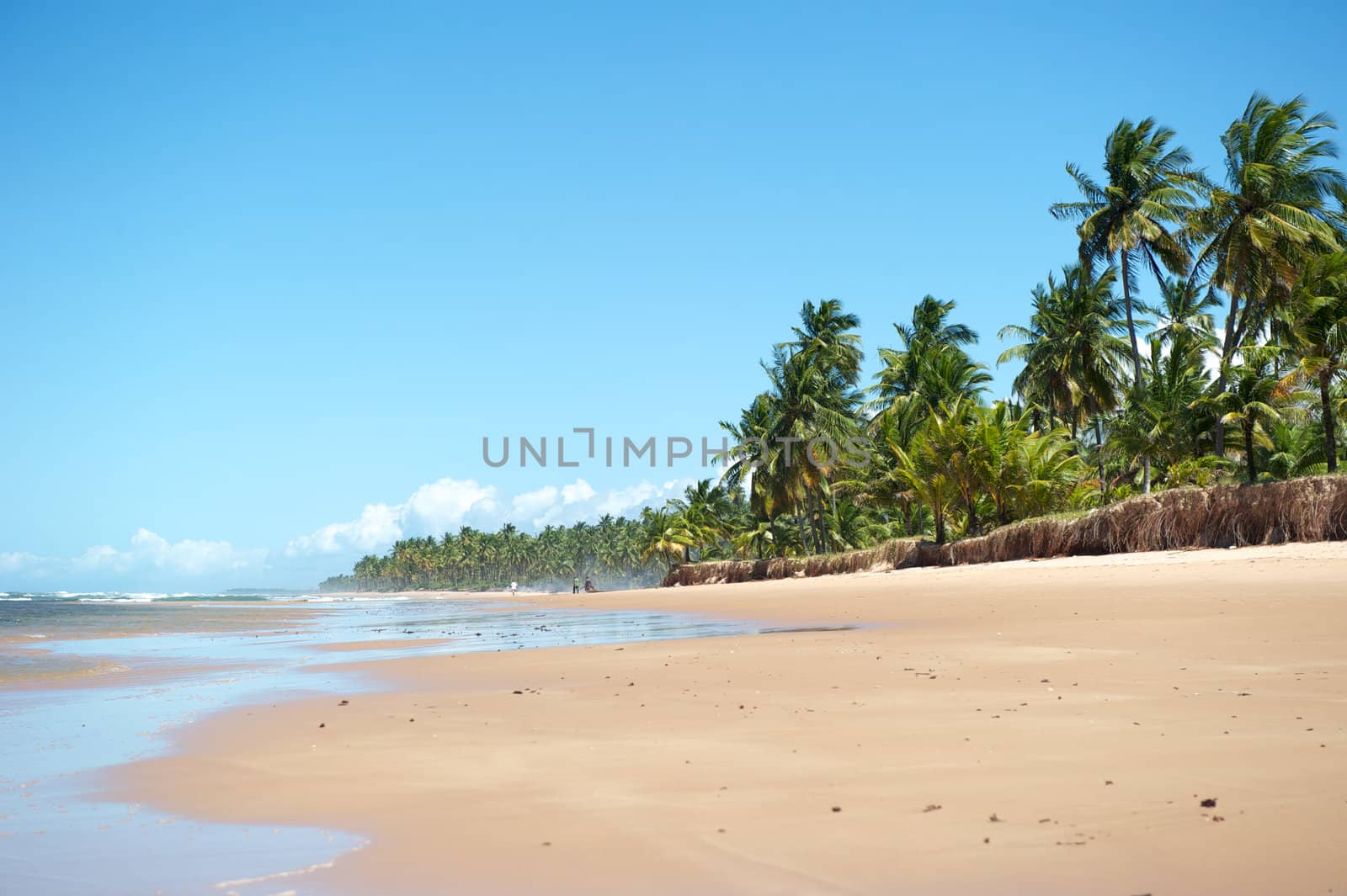 Paradise beach in the Marau Peninsula, Bahia State, Brazil