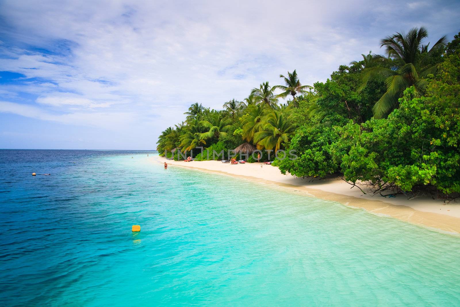 Tropical Paradise at Maldives with palms and blue sky
