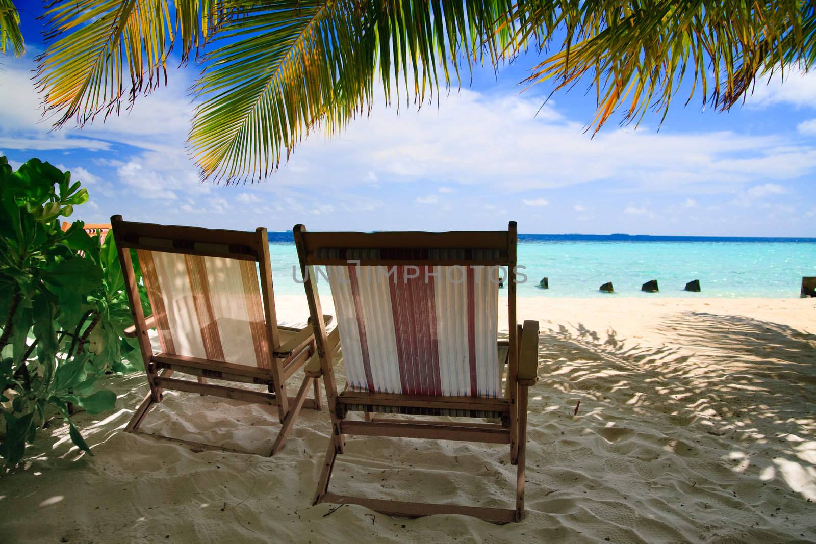 Relaxing on tropical paradise with white sand at Maldives and green palms with blue sky