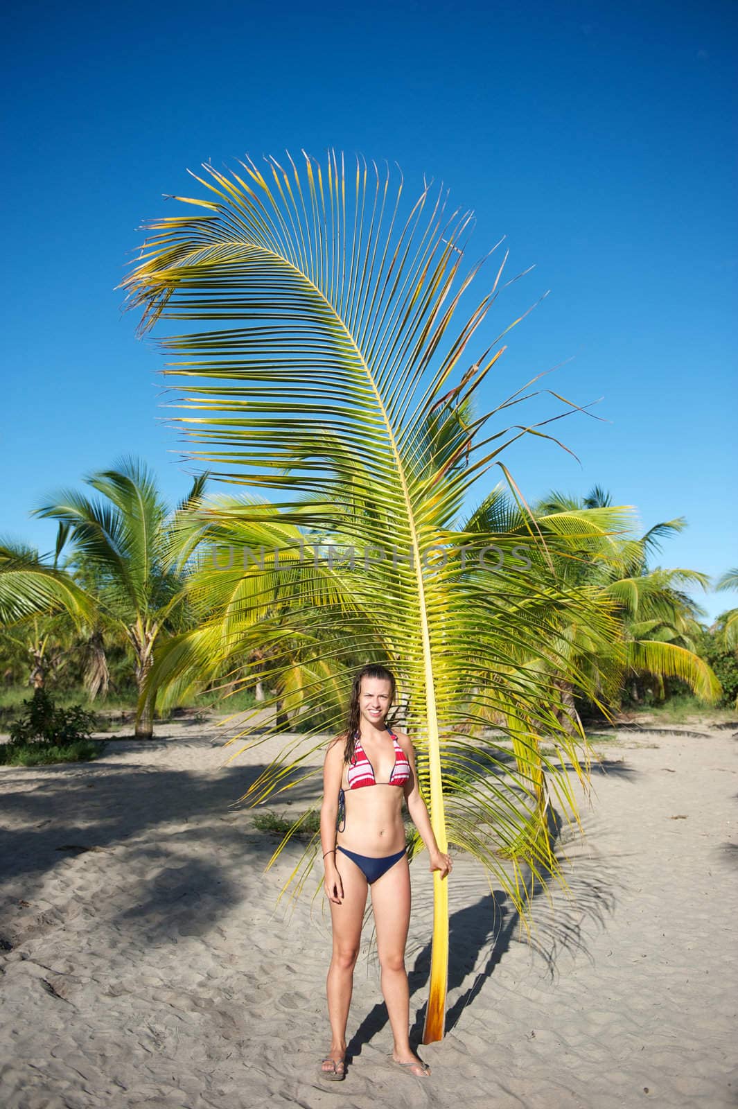 Pretty young woman playing with a palm tree in the Marau Peninsula, Bahia State, Brazil