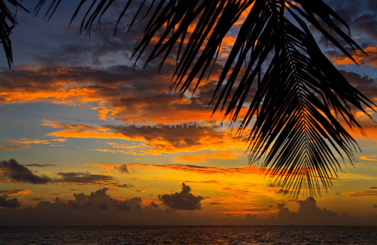 Maldivian Sunset image with nice color