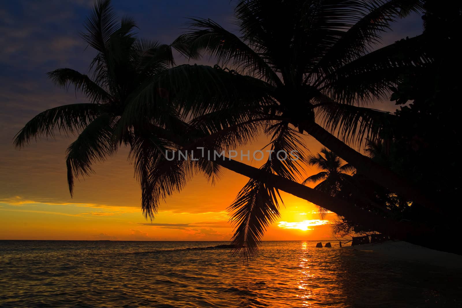 Maldivian Sunset image with nice color