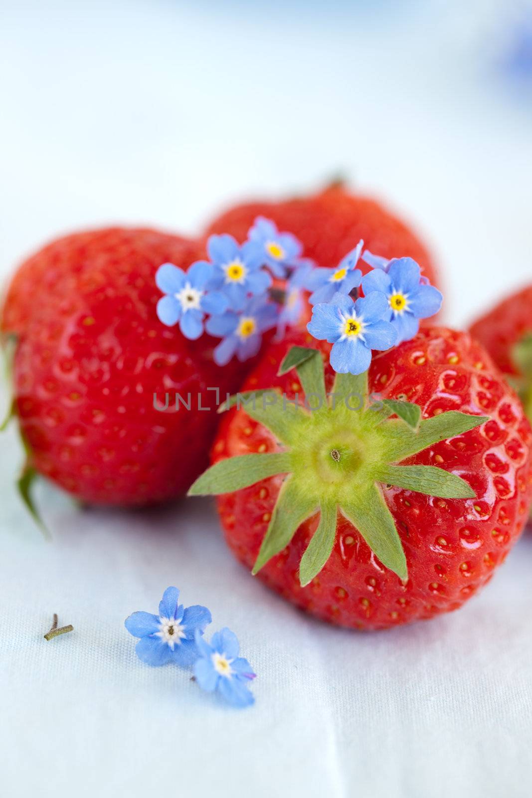 Strawberries by Fotosmurf