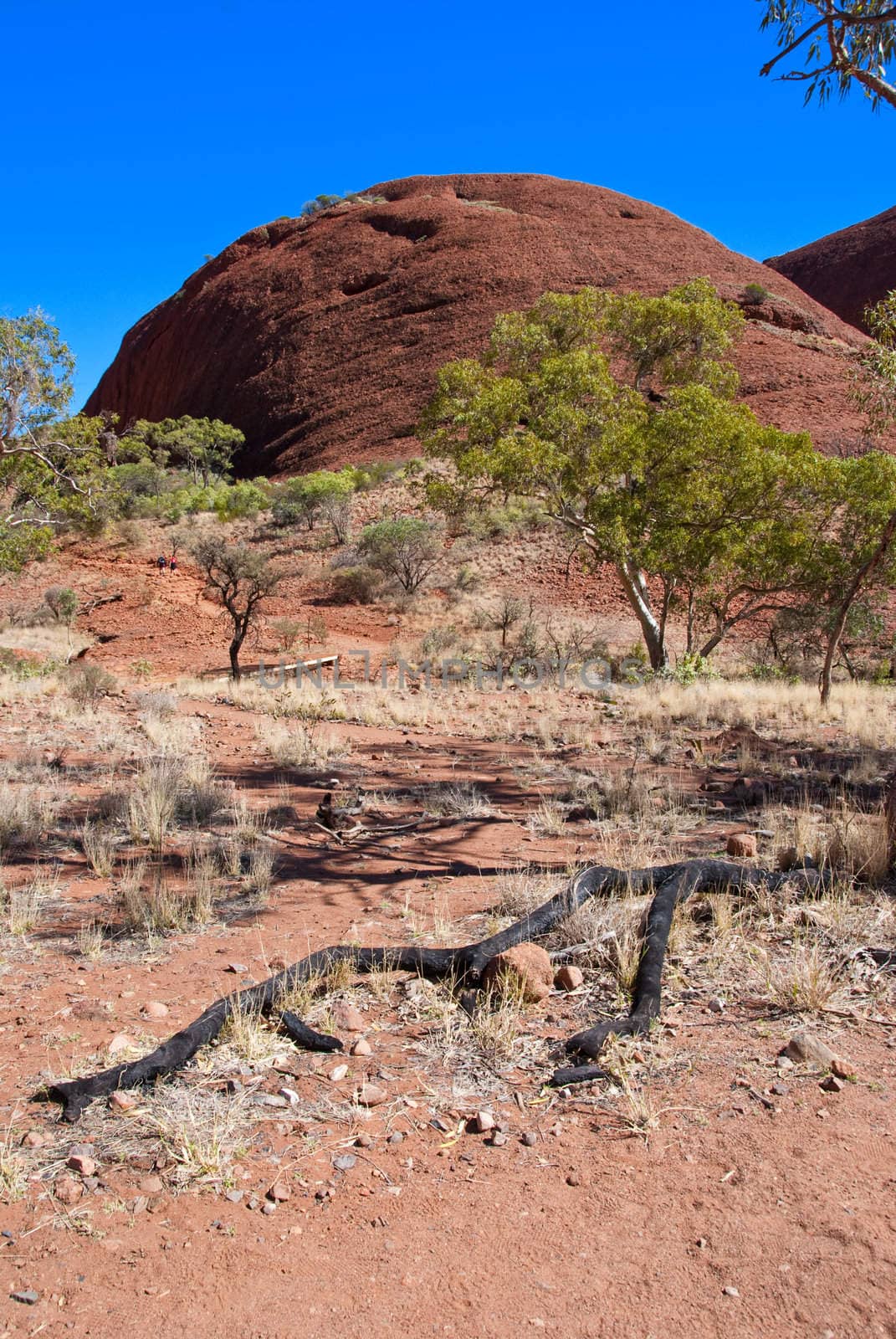 Australian Outback by jovannig