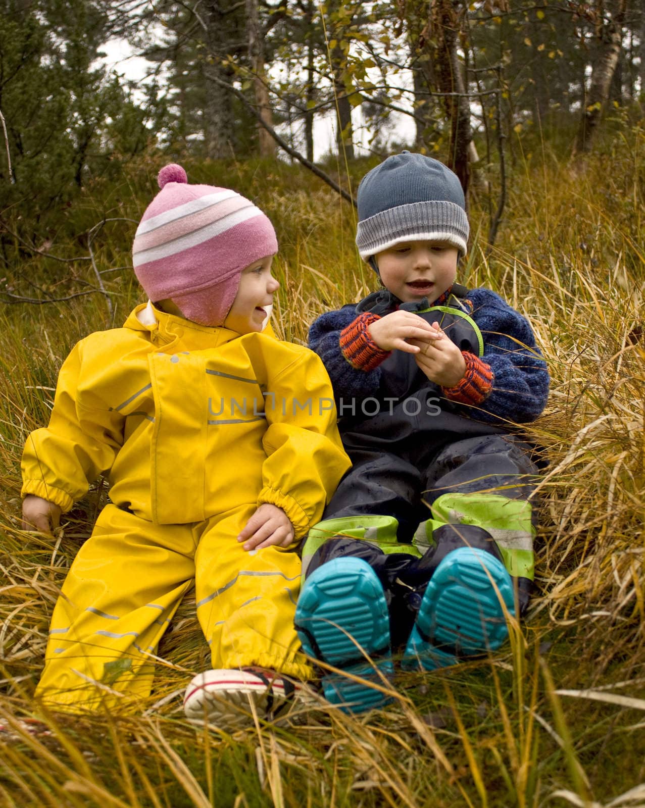 Children talking together in an autumn forest