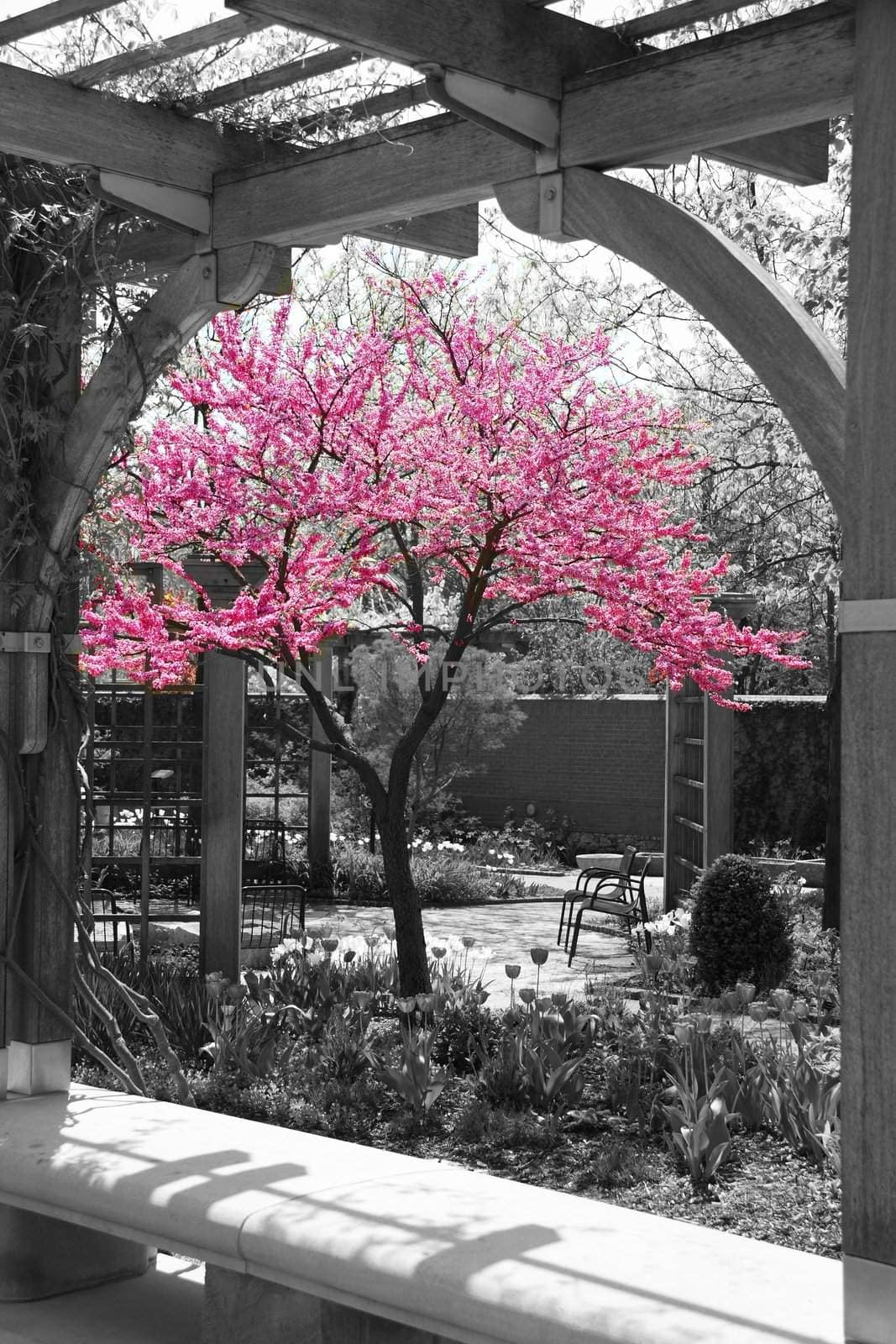 Colorful flowers framed by an arch in a selective color image.