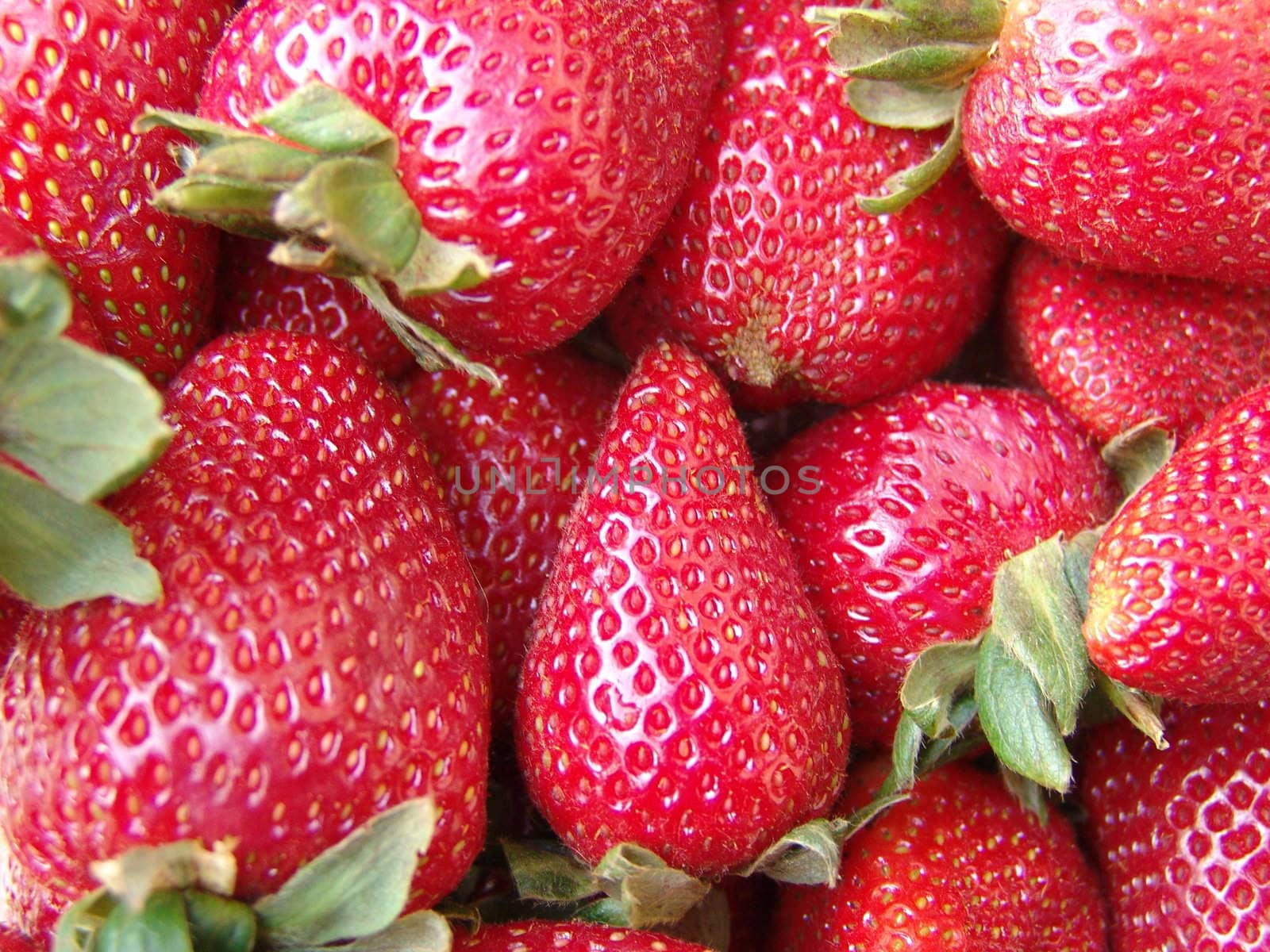 Close up on fresh ripe strawberries