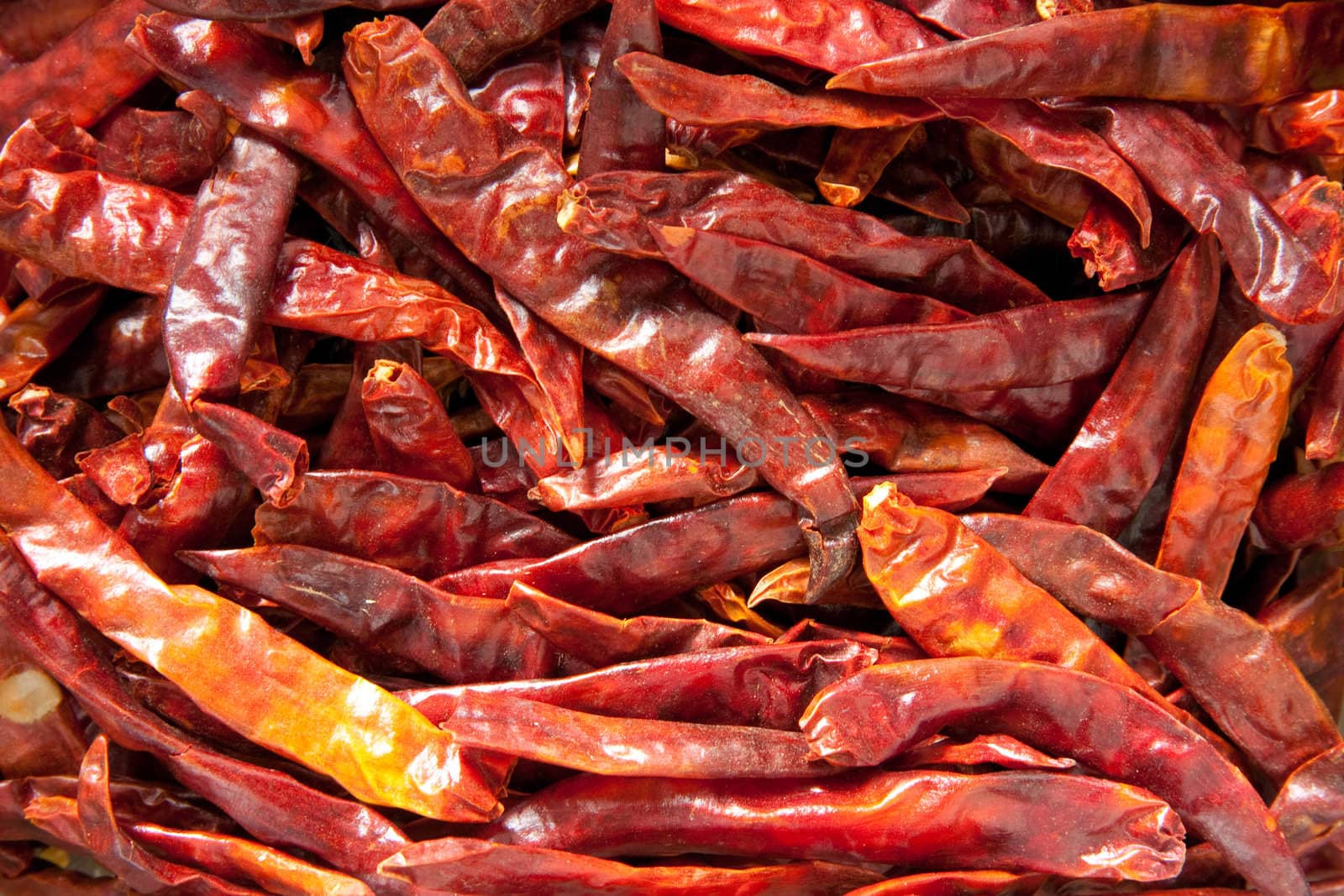Close up on chilli peppers