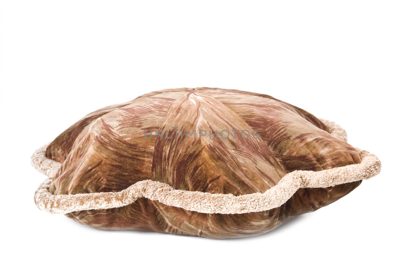 one pillow with arts over white background