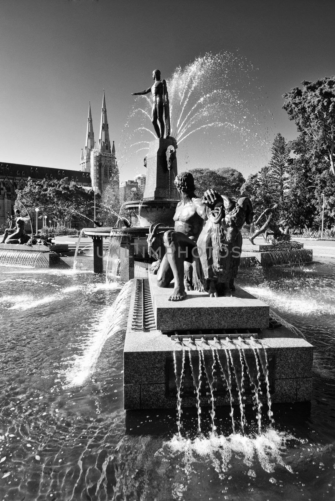 Wide Shot of Archibald Fountain in Sydney, Australia