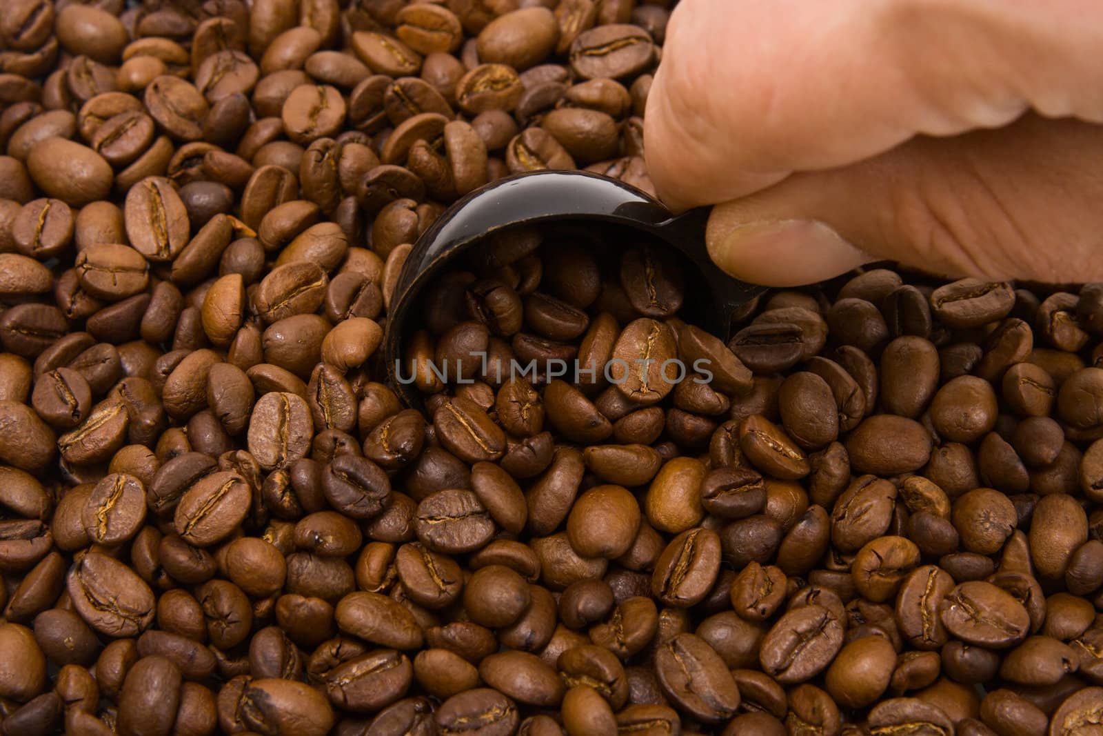 Roasted grains of fragrant black coffee