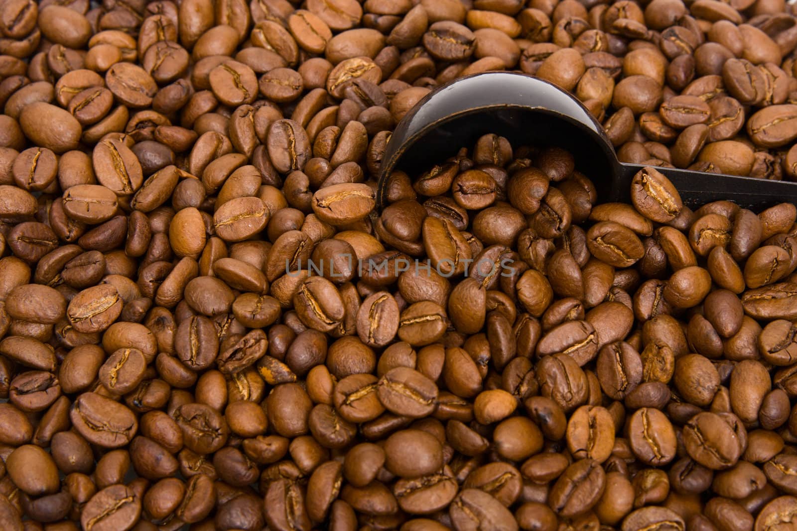 Roasted grains of fragrant black coffee