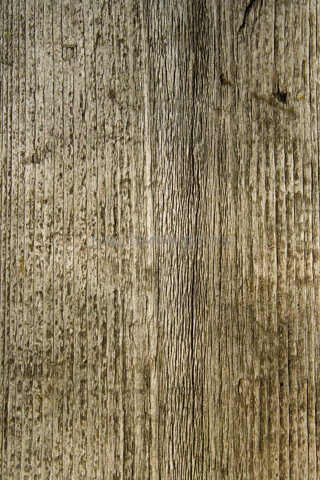 Texture from an old board