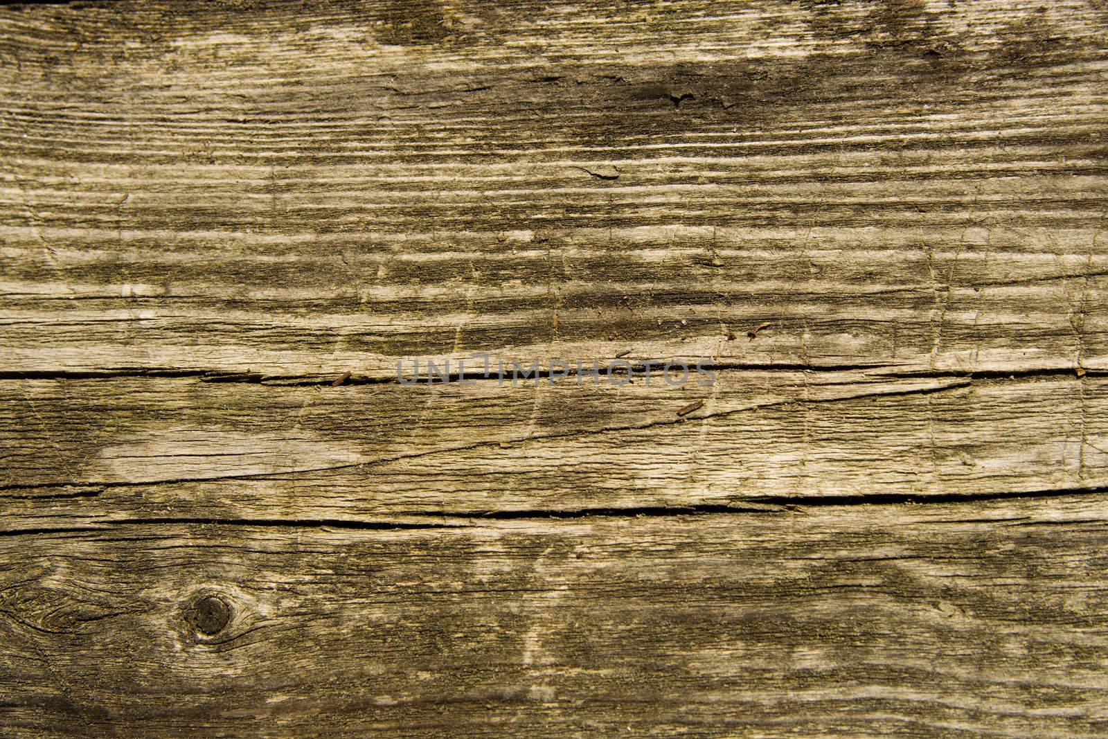 Texture from an old board