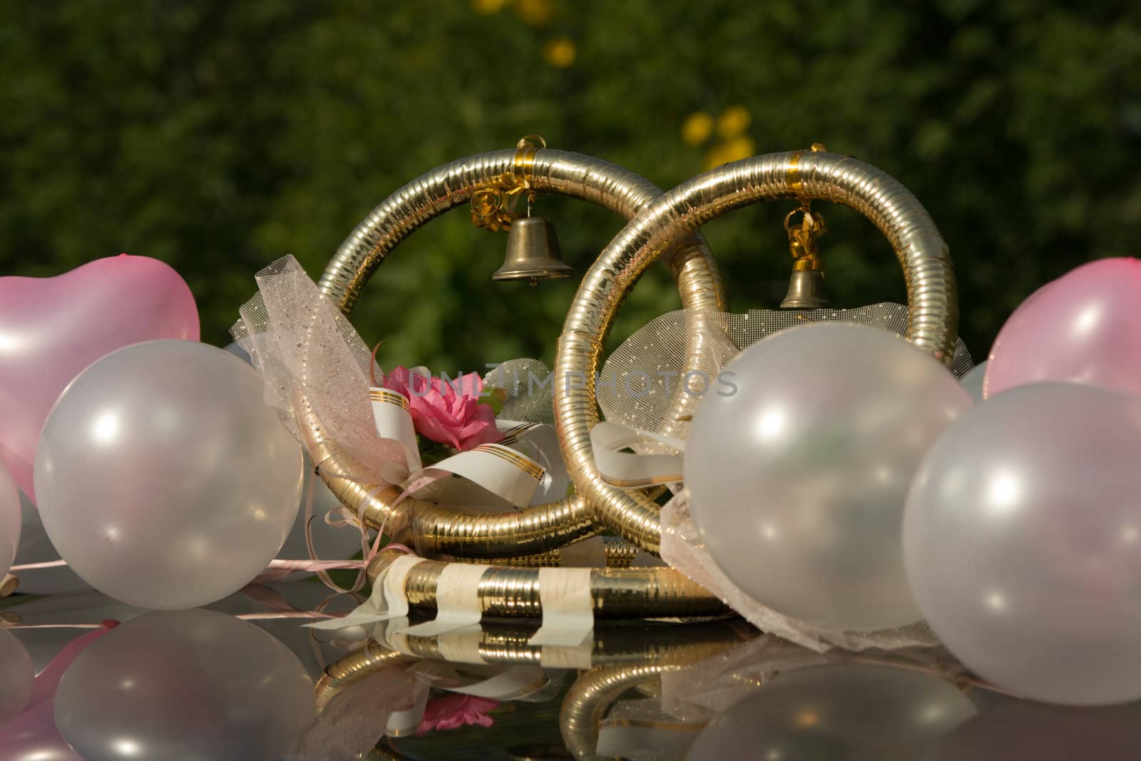 Gold wedding rings on a roof of the car