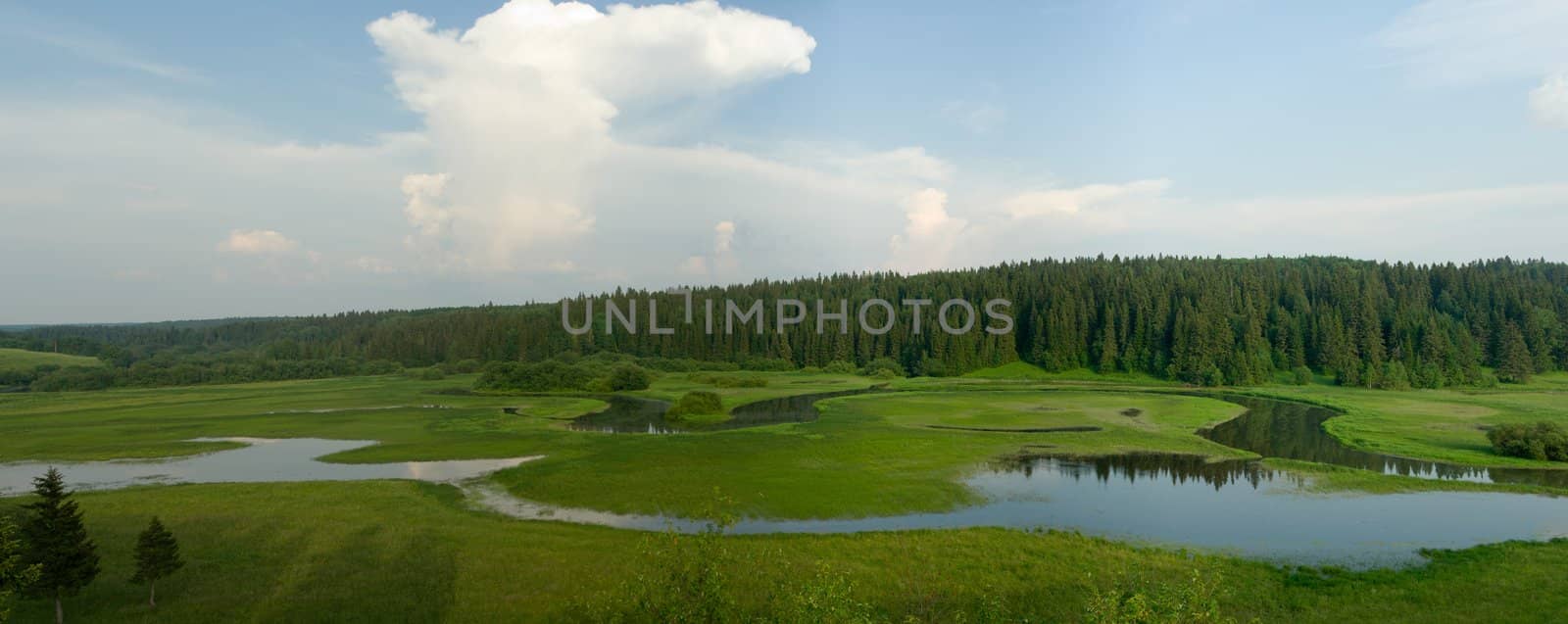 Beautiful summer landscape. The nature. Panorama by ISerg