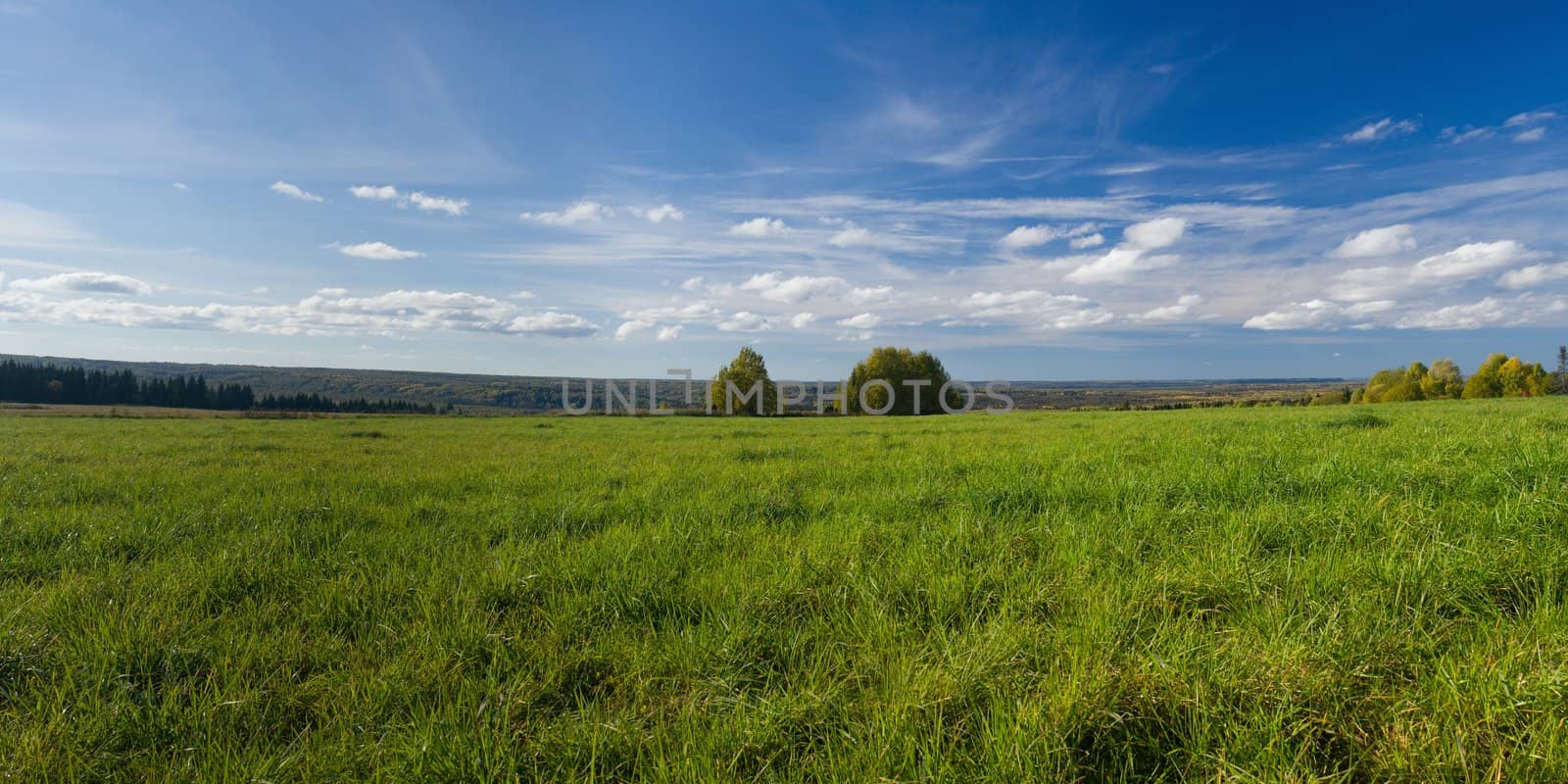 Beautiful summer landscape. The nature. Panorama by ISerg