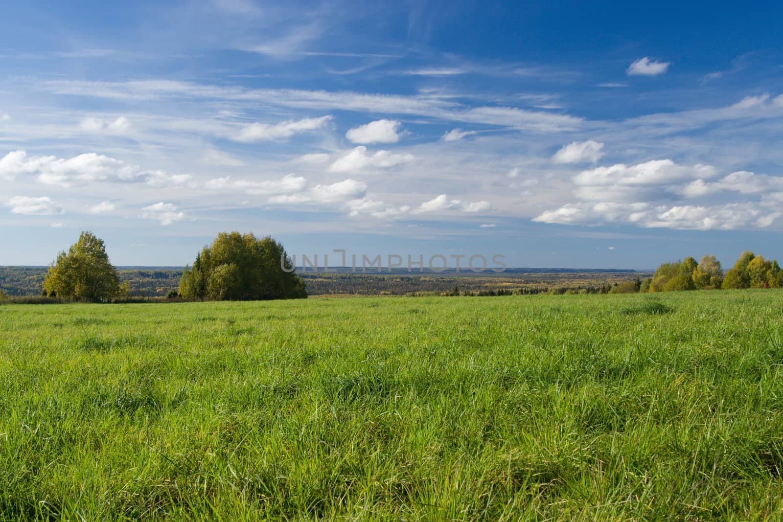 Beautiful summer landscape. The nature.