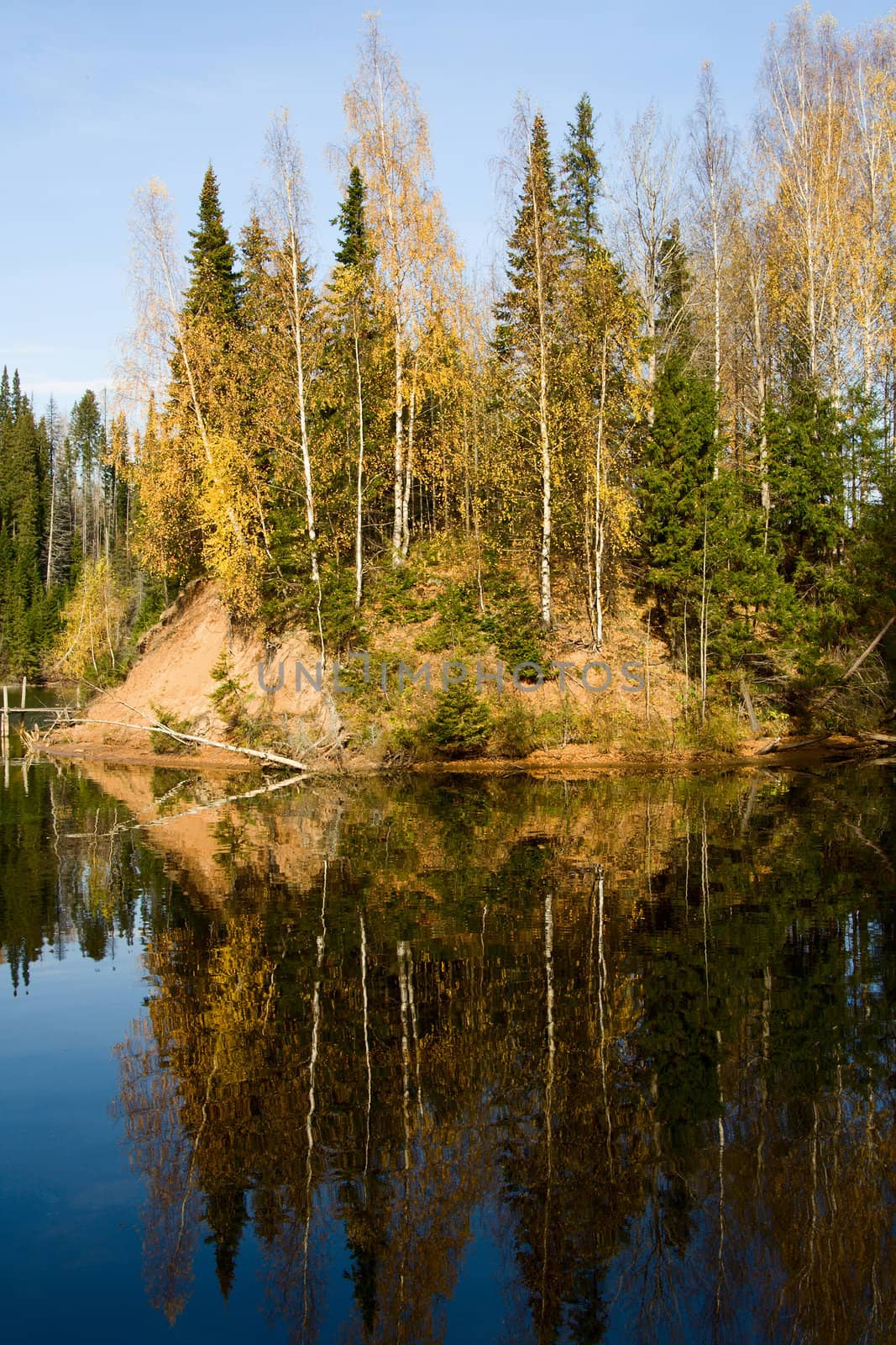 Beautiful autumn landscape. The nature.