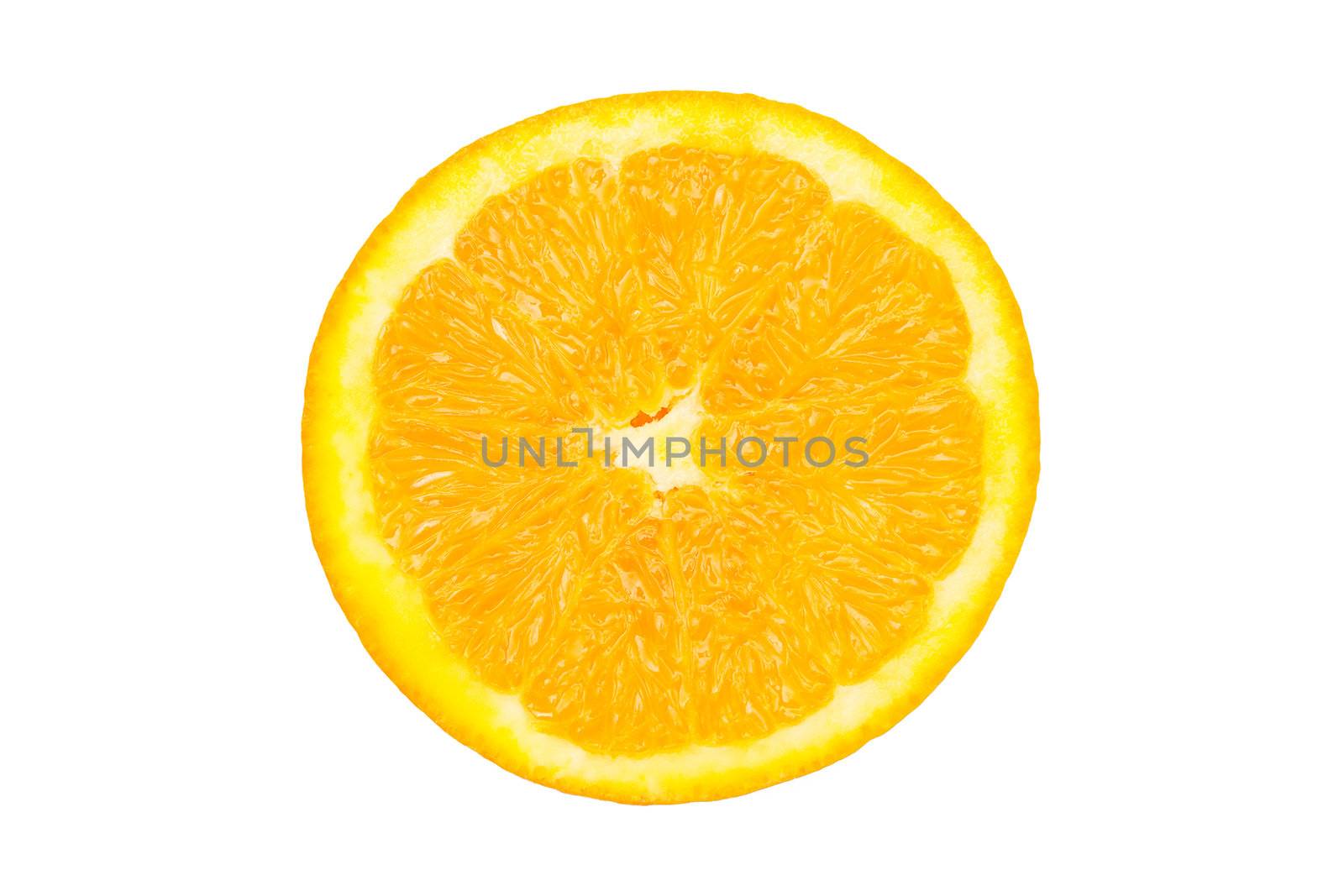 An orange on the white background