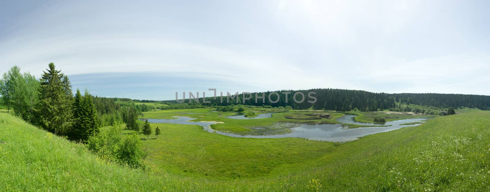 Flood of the river. Summer landscape. Panorama. by ISerg