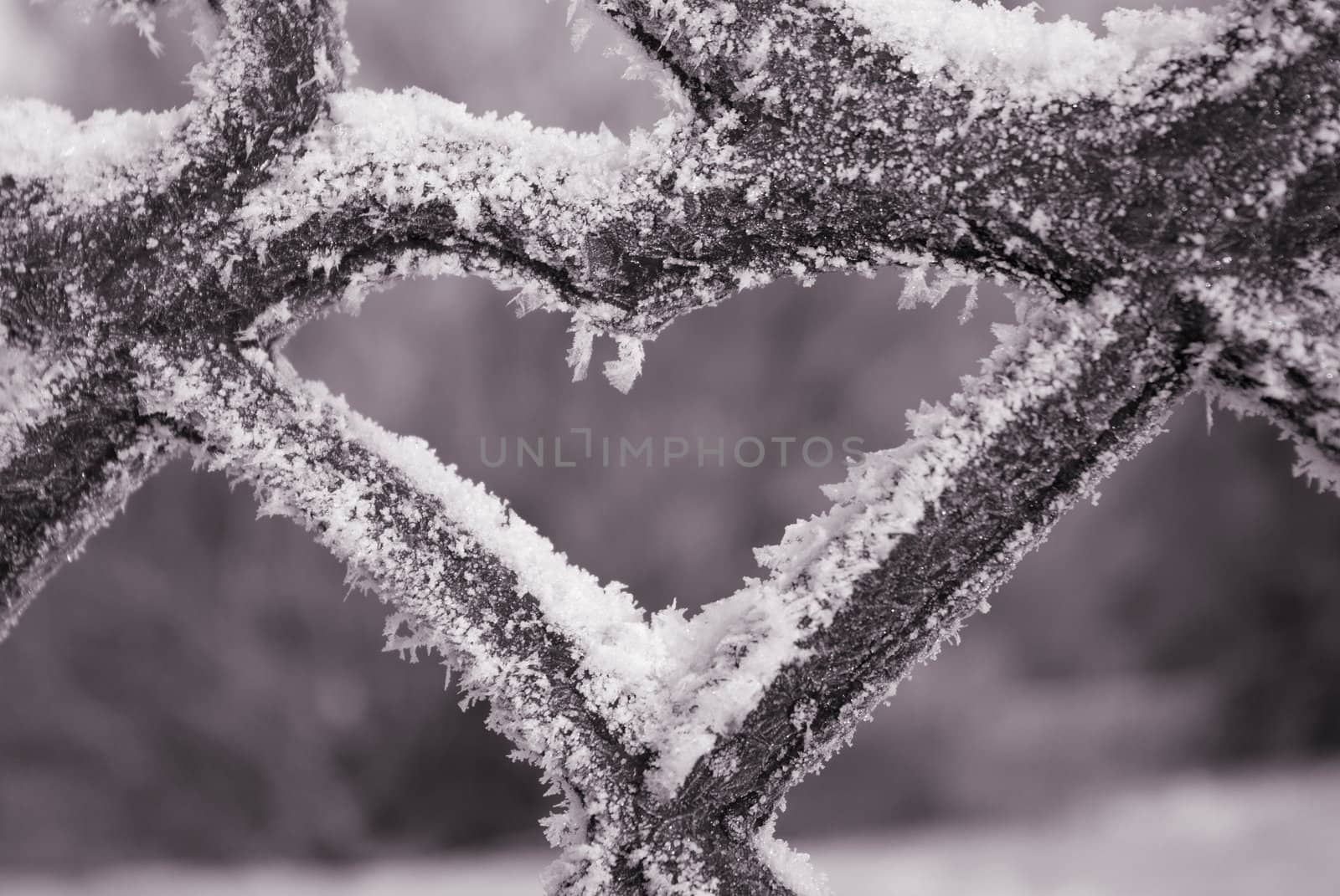 Frozenned heart -valentine..freezing patterns on metal.monochrome