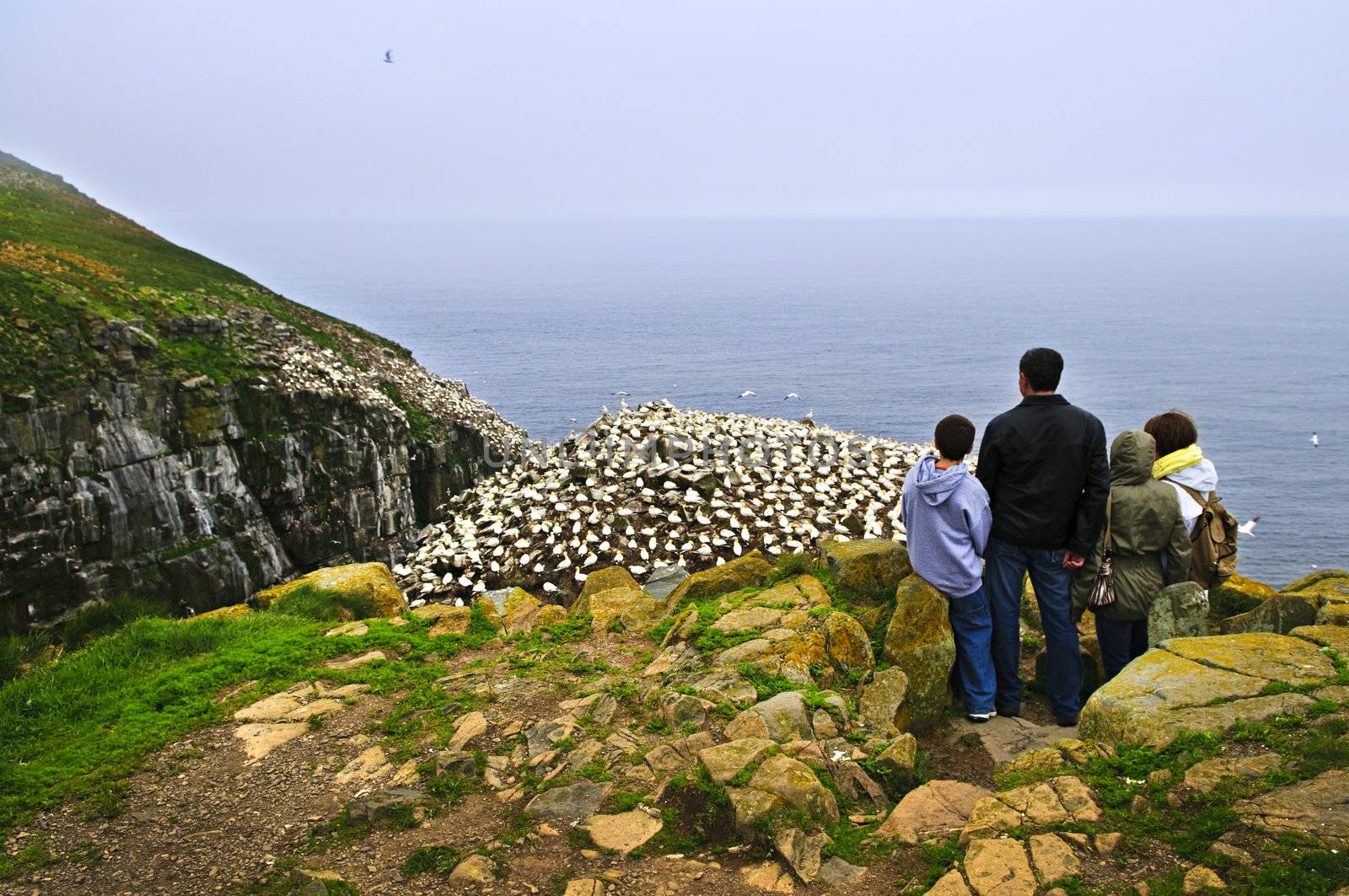 Family visiting Cape St. Mary's Ecological Bird Sanctuary in Newfoundland by elenathewise