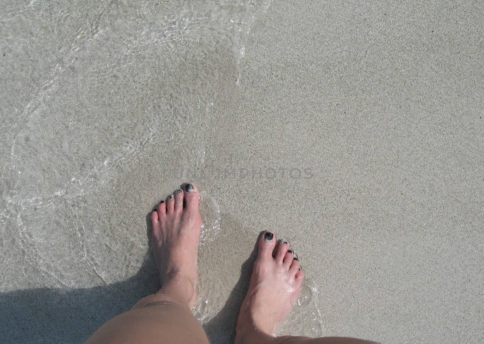 female's feet in the ocean