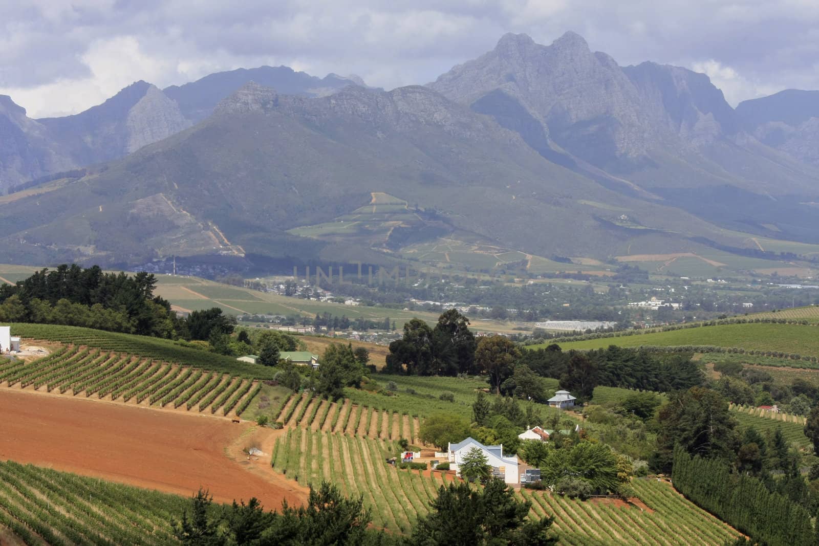 Landscape of Stellenbosch vineyards
