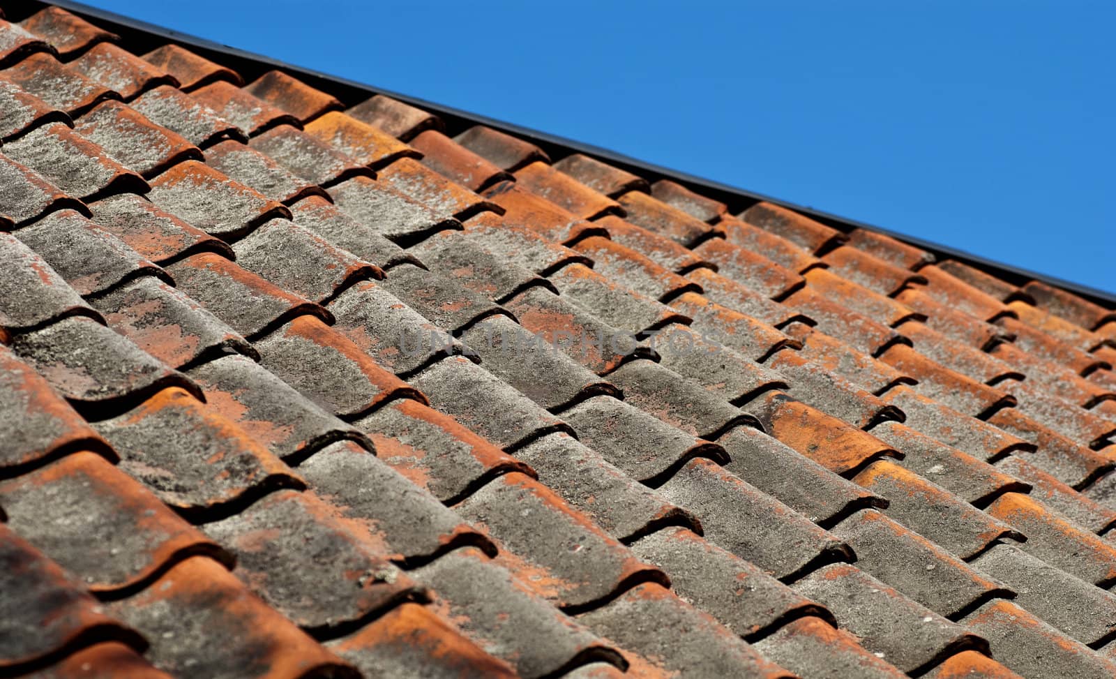 old tiled roof with blue sky above