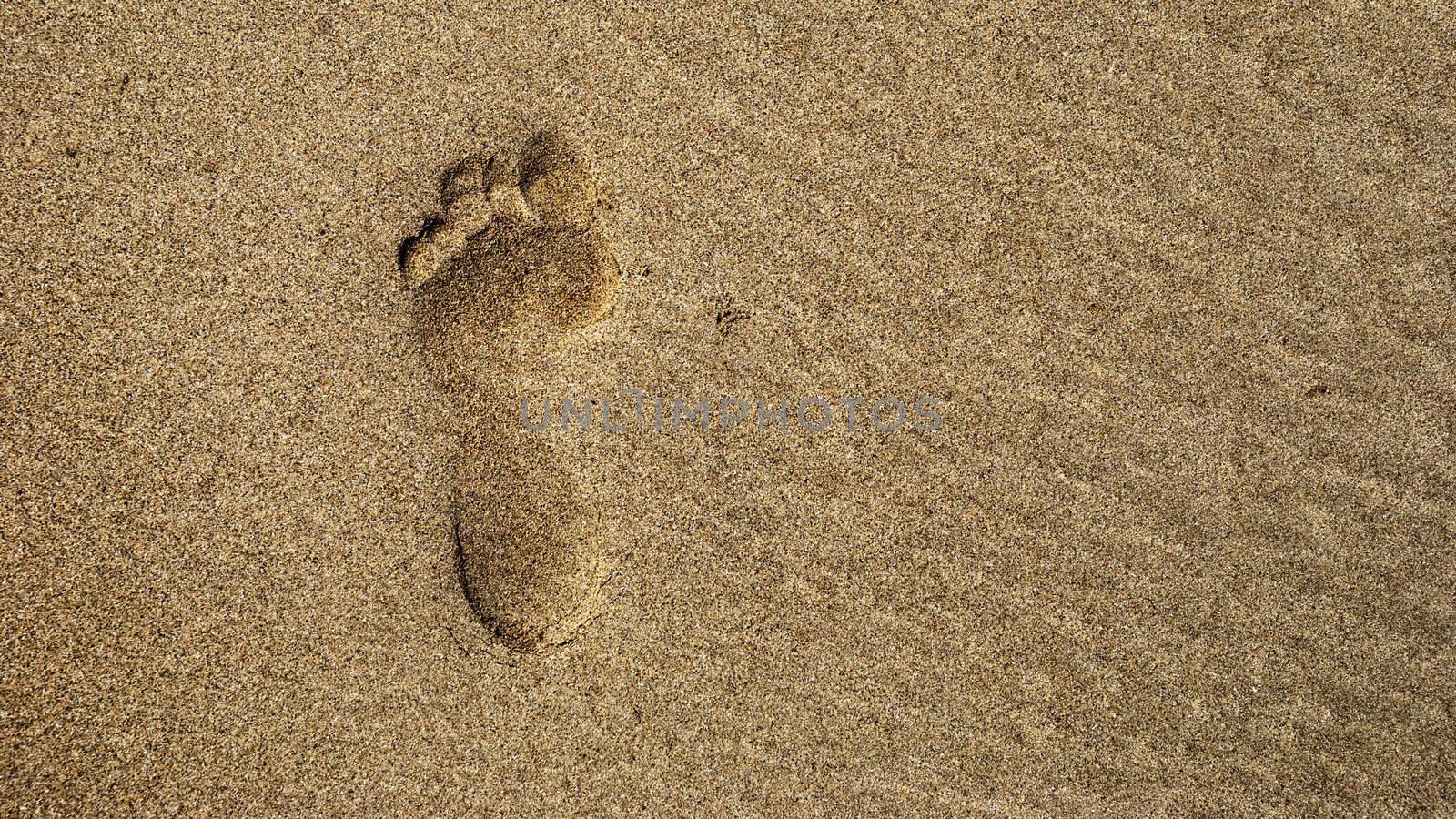 Footprint by bah69