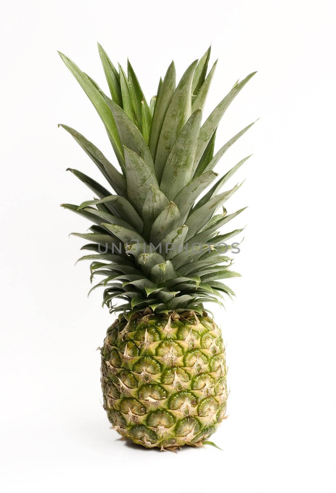 Isolated ananas - pineapple - on white background with clipping path
