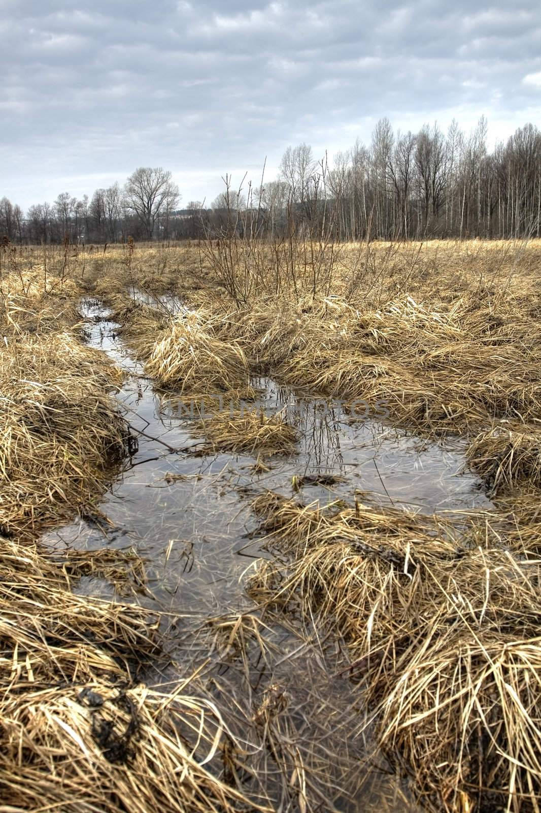 Early spring. The fields partially flooded with spring waters. Russia, the Udmurt republic.