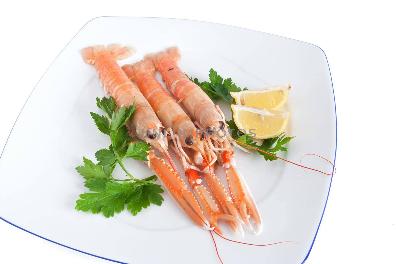 three raw prawns with lemon and parsley on a white plate isolated with clipping path