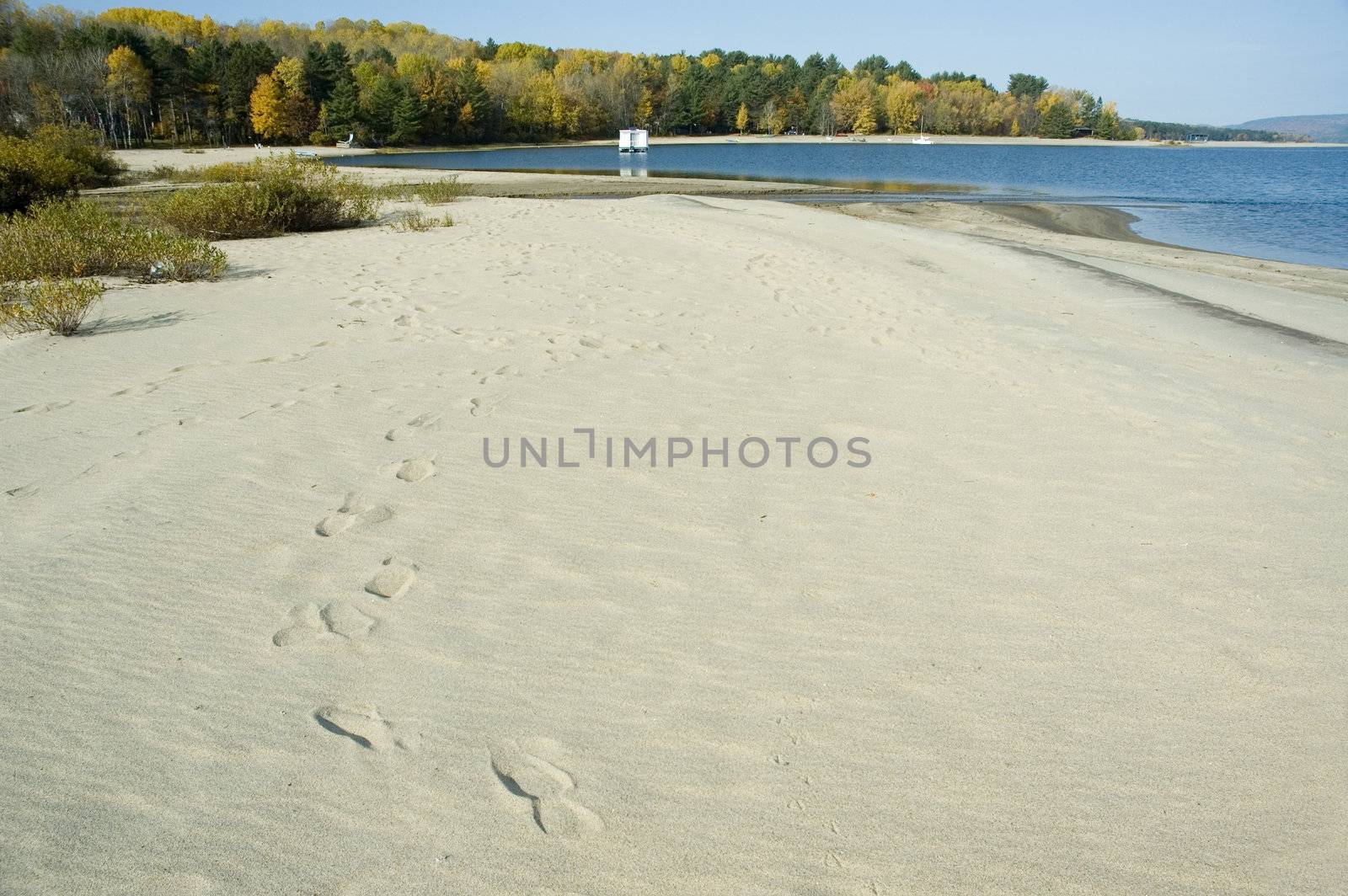 some footprints in the sand across a beach