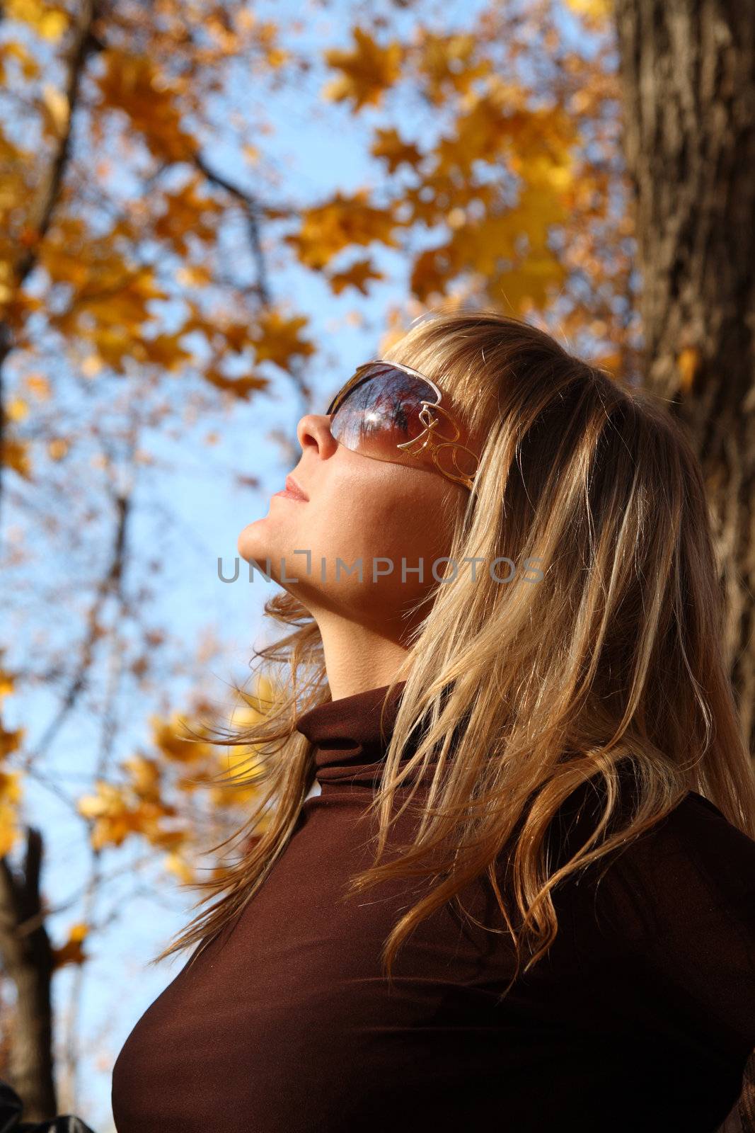 portrait of beautiful young girl on autumn background