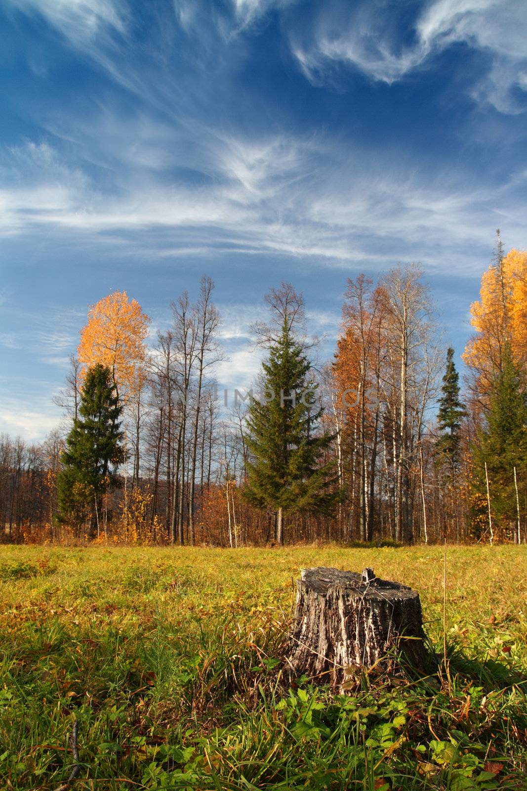 autumn landscape in Ural mountains by Mikko