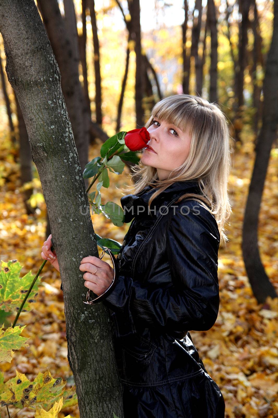 beautiful young girl with rose in autumn park
