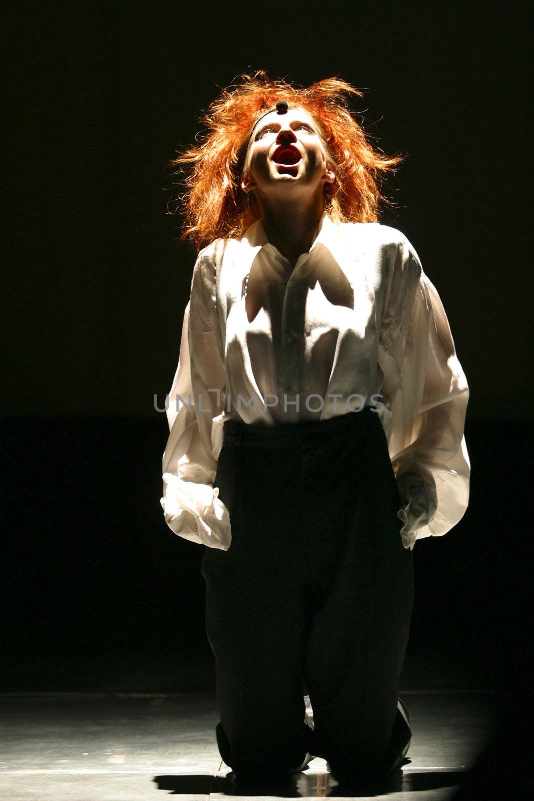 Premiere of performance of Theatre of Roman Viktjuka "Dream in summer night" on William Shakespeare's same product. On a photo Victoria Miheeva