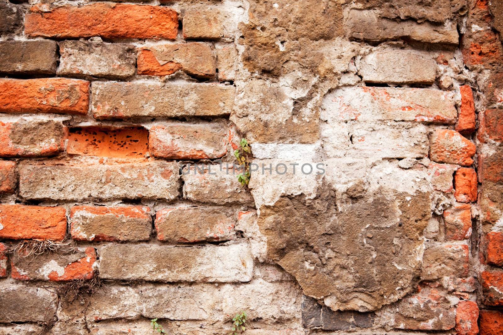 A background texture of a brick wall